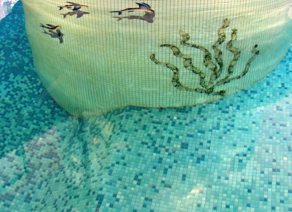 Бассейн с морской декорацией в частном доме